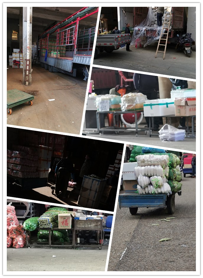 赏金船主·PG(中国游)官方网站