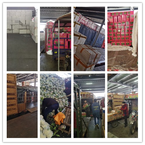 赏金船主·PG(中国游)官方网站