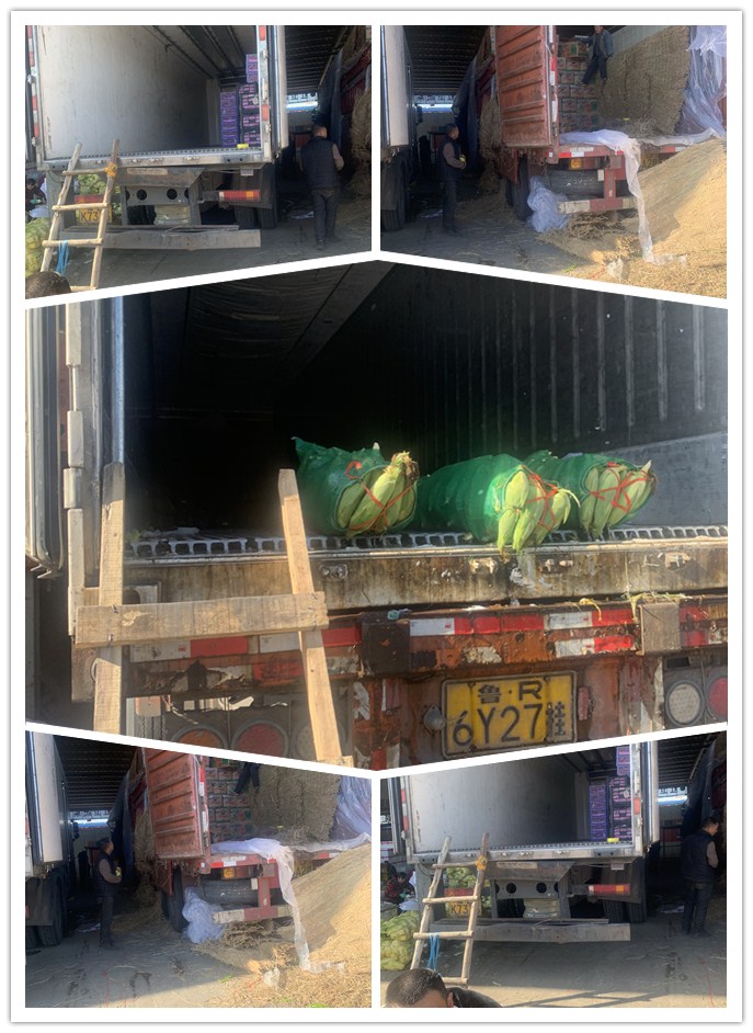 赏金船主·PG(中国游)官方网站