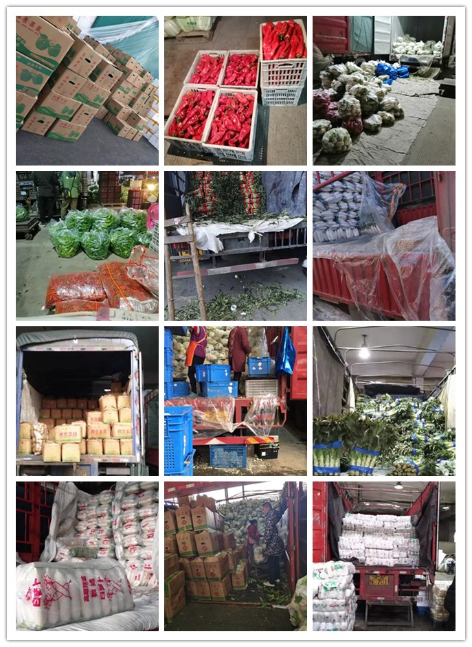 赏金船主·PG(中国游)官方网站