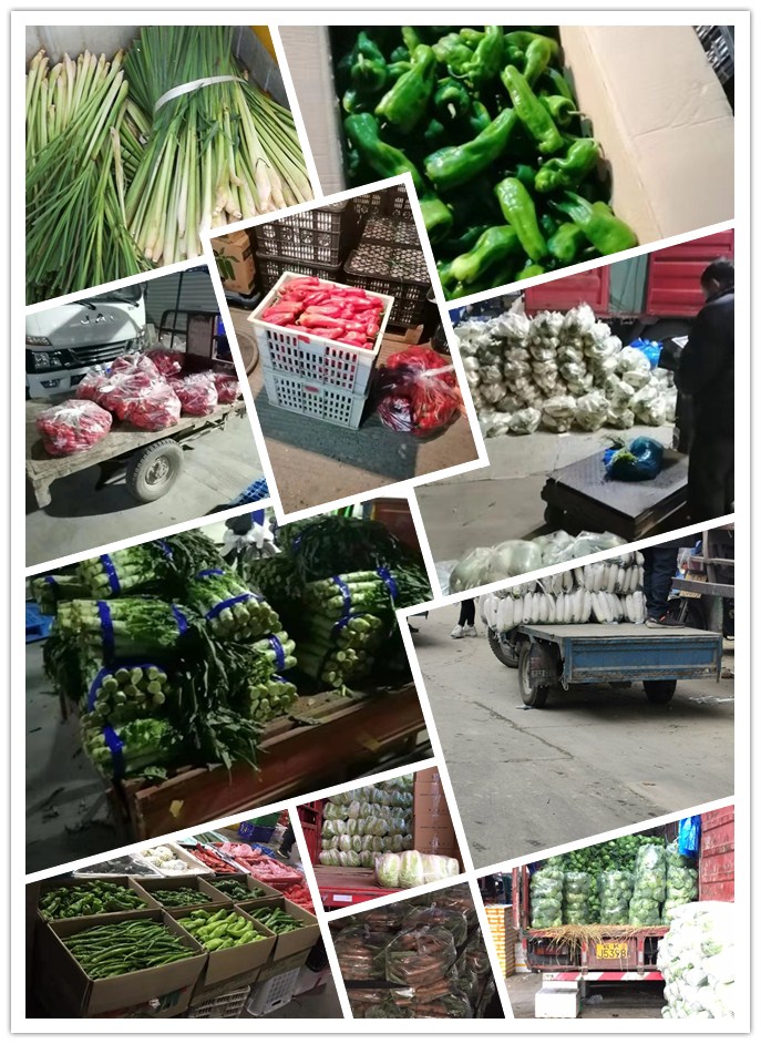 赏金船主·PG(中国游)官方网站