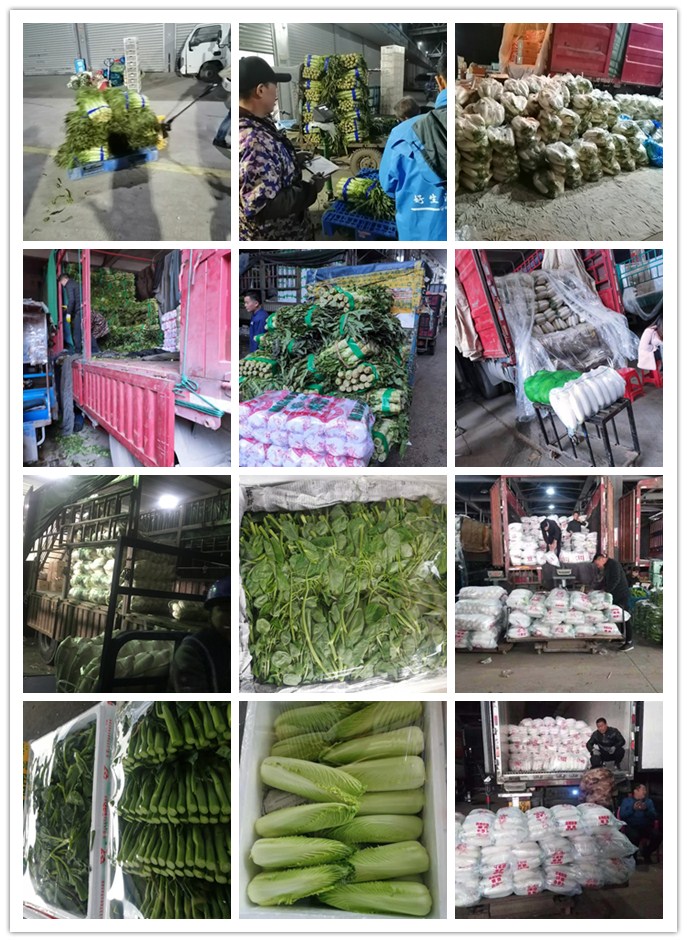 赏金船主·PG(中国游)官方网站