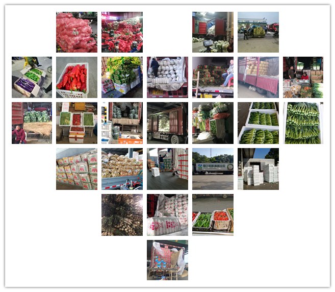 赏金船主·PG(中国游)官方网站