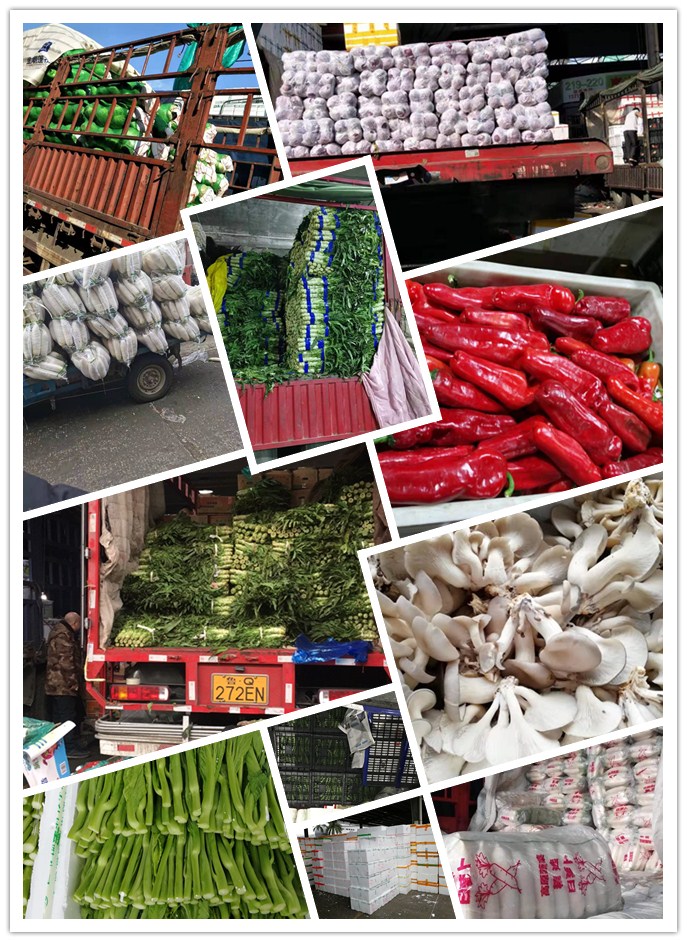 赏金船主·PG(中国游)官方网站