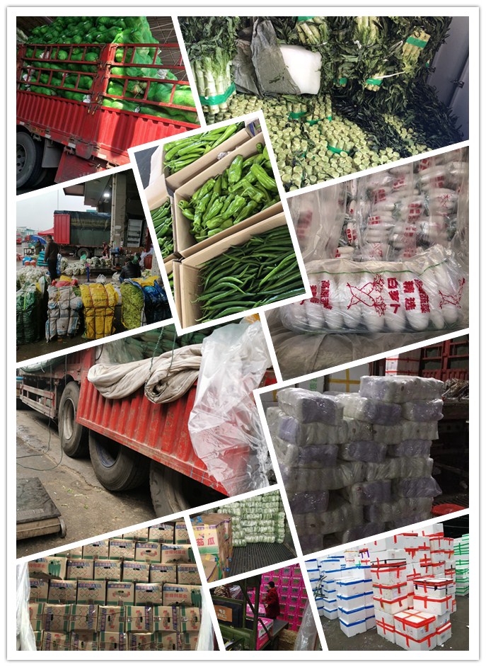 赏金船主·PG(中国游)官方网站