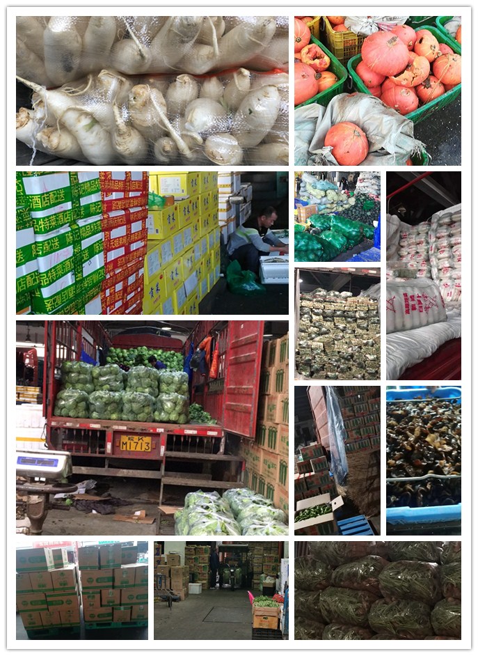 赏金船主·PG(中国游)官方网站