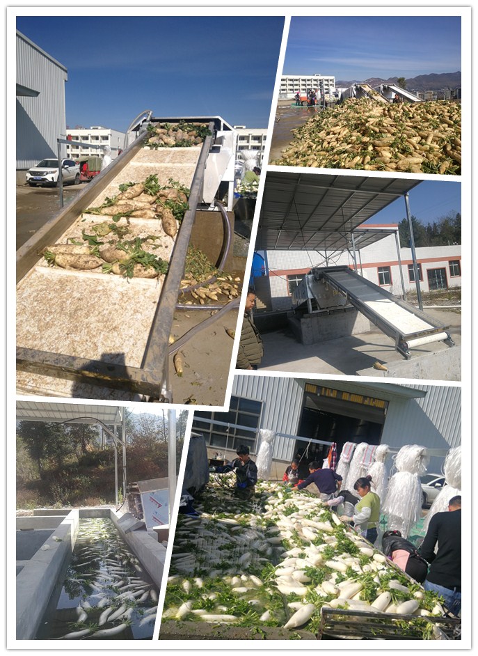 赏金船主·PG(中国游)官方网站