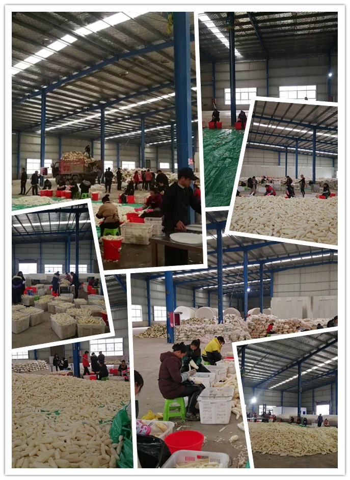 赏金船主·PG(中国游)官方网站