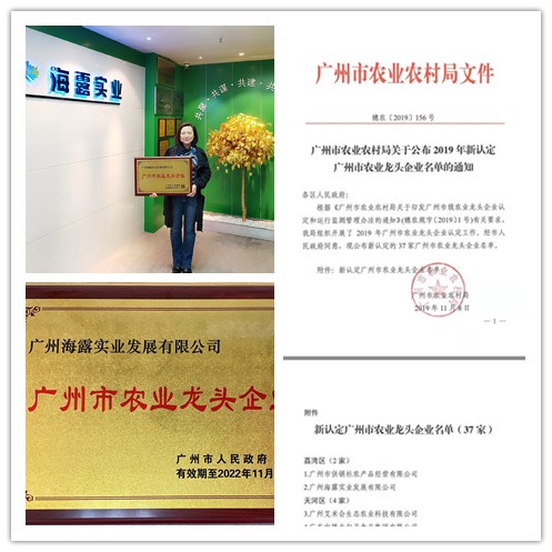 赏金船主·PG(中国游)官方网站