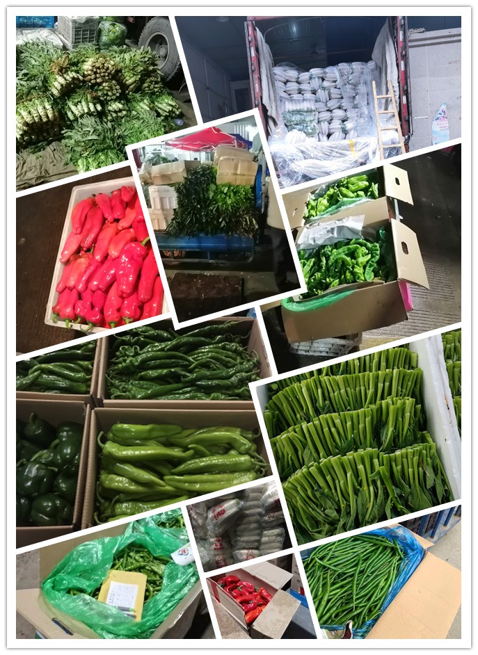 赏金船主·PG(中国游)官方网站