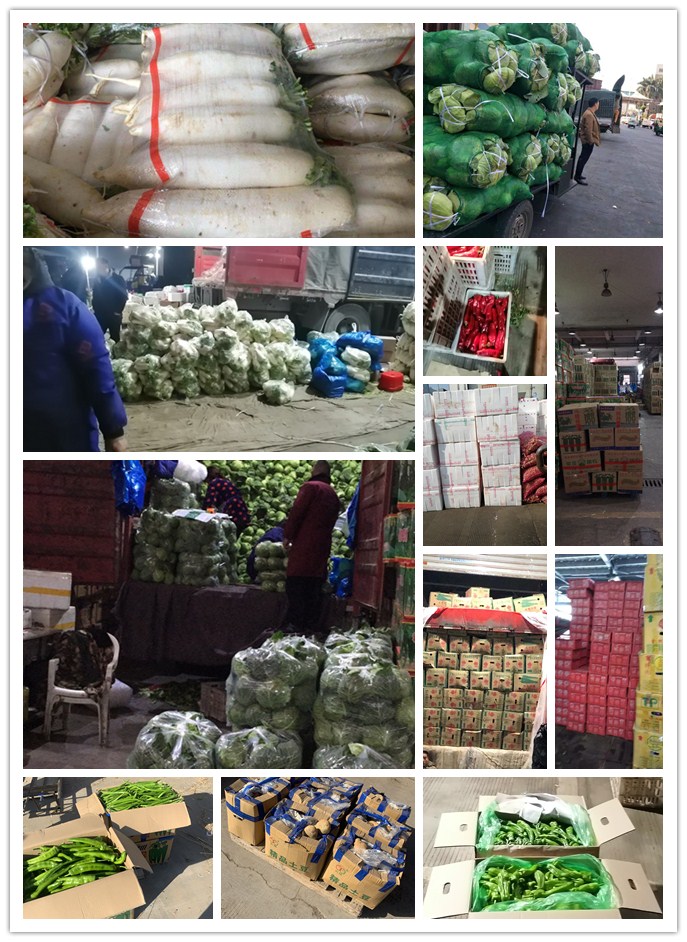 赏金船主·PG(中国游)官方网站