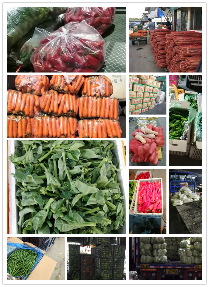 赏金船主·PG(中国游)官方网站