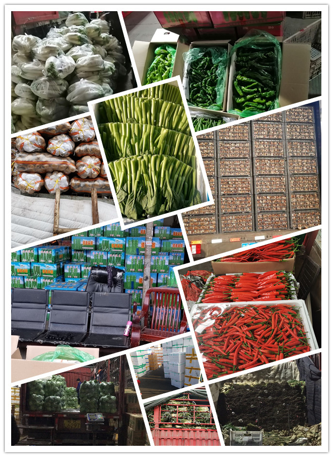 赏金船主·PG(中国游)官方网站