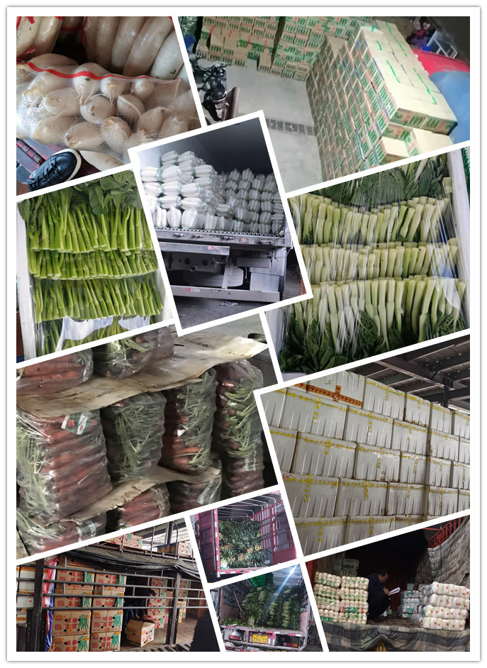 赏金船主·PG(中国游)官方网站