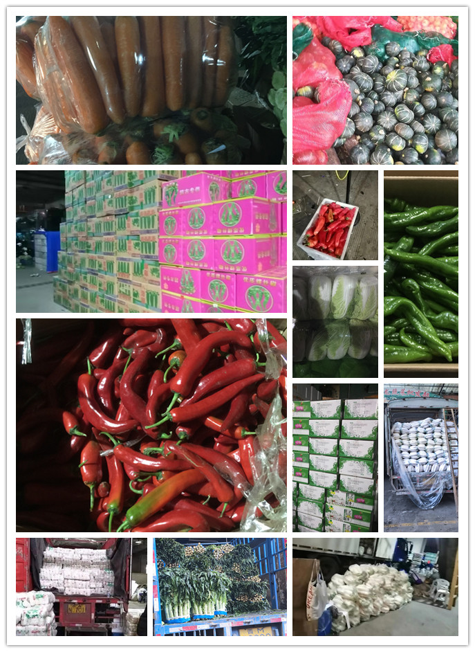 赏金船主·PG(中国游)官方网站