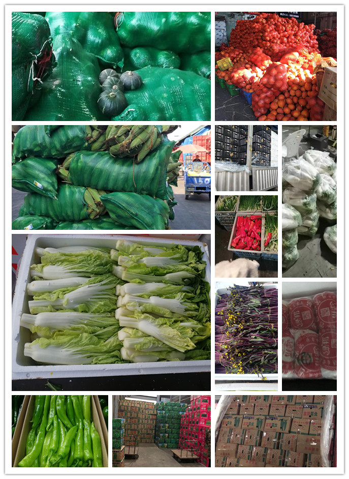 赏金船主·PG(中国游)官方网站