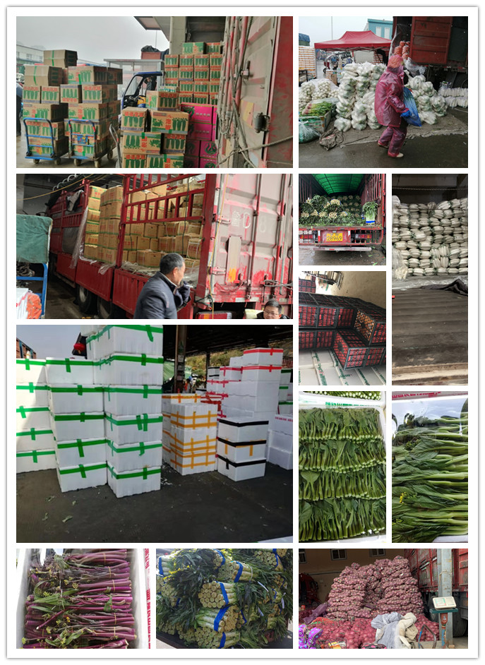 赏金船主·PG(中国游)官方网站