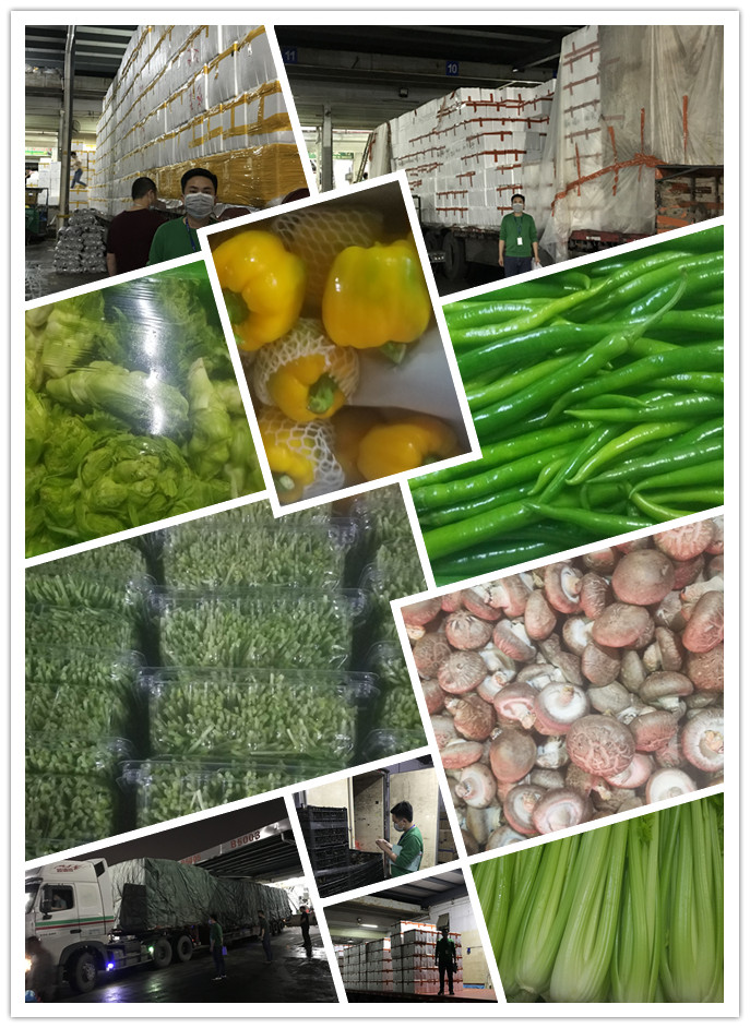 赏金船主·PG(中国游)官方网站