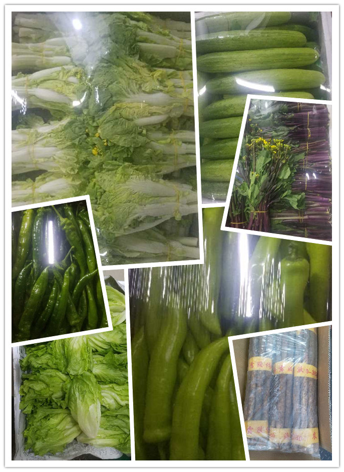 赏金船主·PG(中国游)官方网站