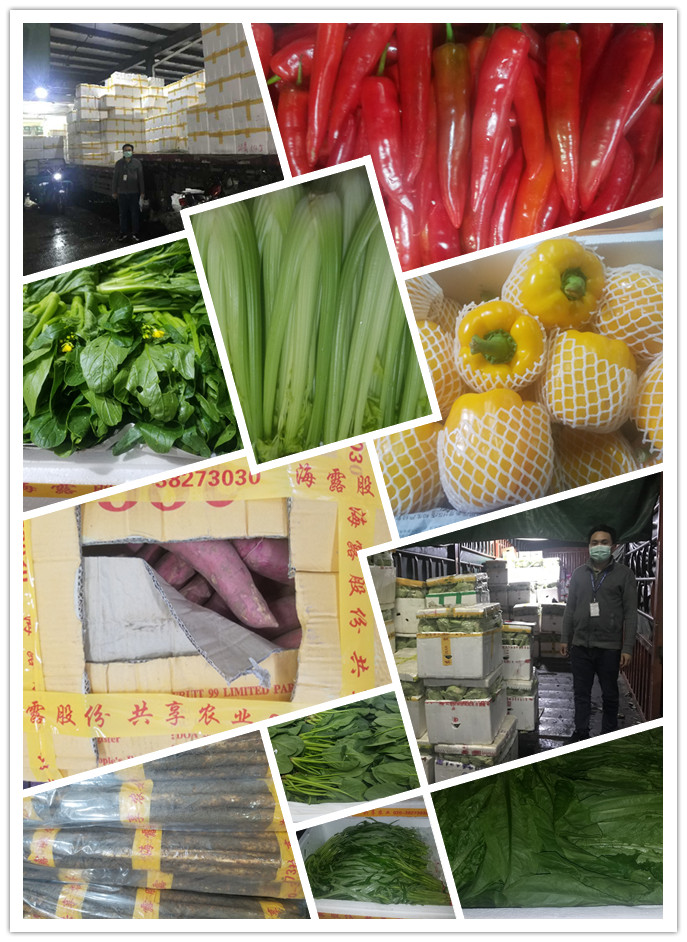 赏金船主·PG(中国游)官方网站