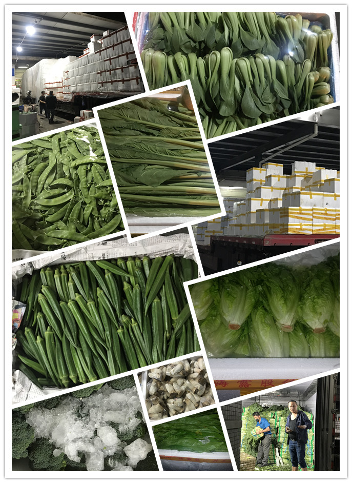 赏金船主·PG(中国游)官方网站