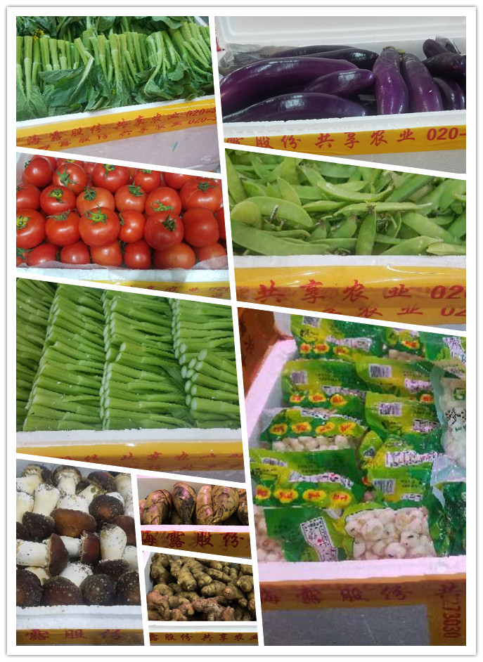 赏金船主·PG(中国游)官方网站