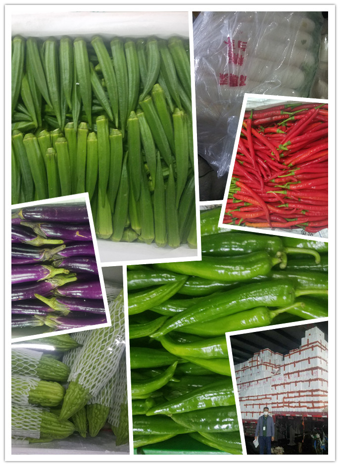 赏金船主·PG(中国游)官方网站