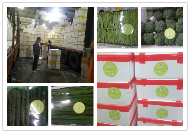 赏金船主·PG(中国游)官方网站