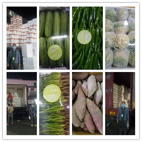 赏金船主·PG(中国游)官方网站