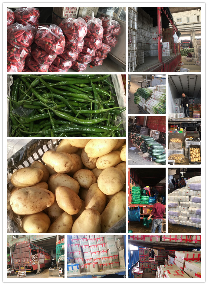 赏金船主·PG(中国游)官方网站