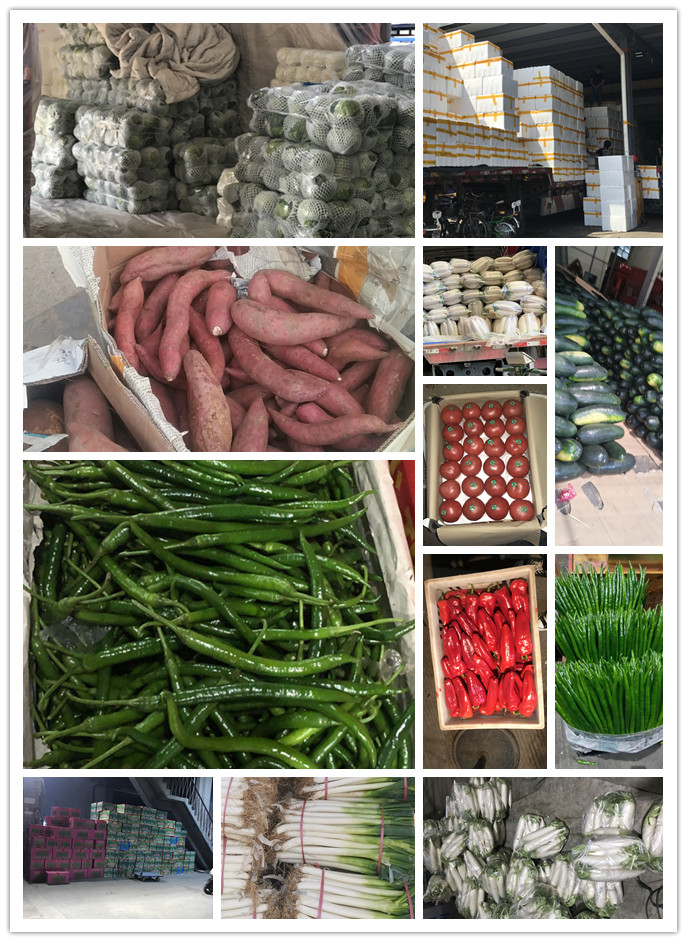 赏金船主·PG(中国游)官方网站