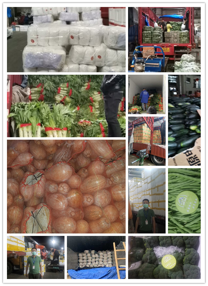 赏金船主·PG(中国游)官方网站