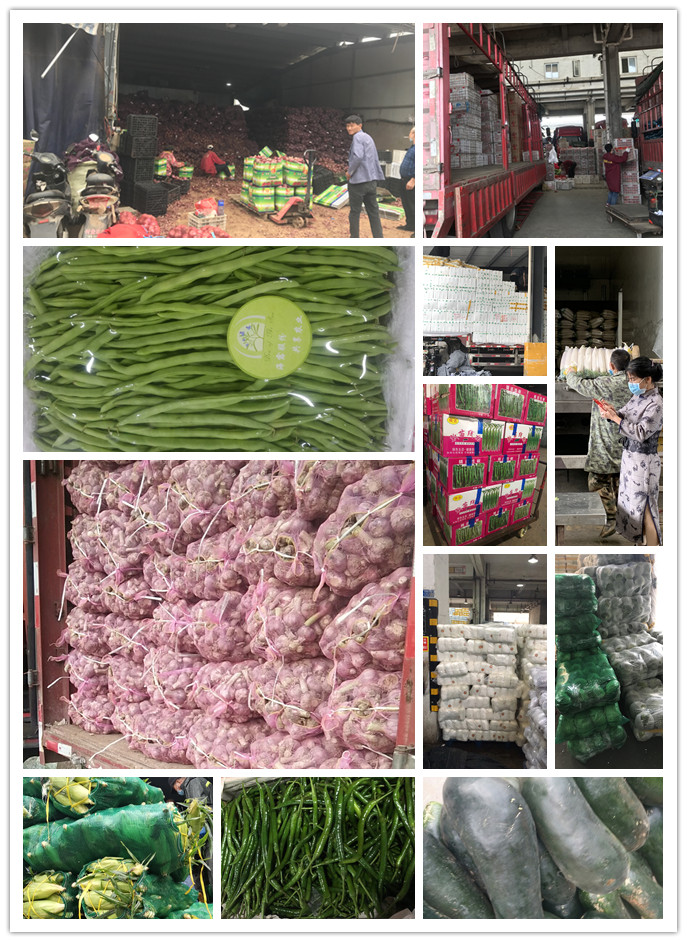 赏金船主·PG(中国游)官方网站