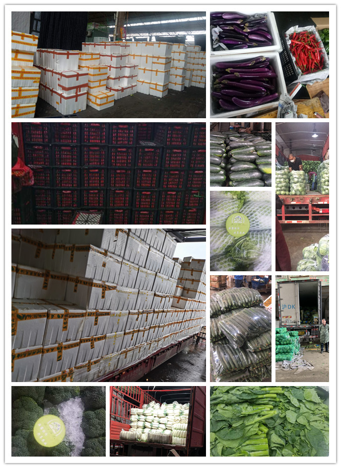 赏金船主·PG(中国游)官方网站