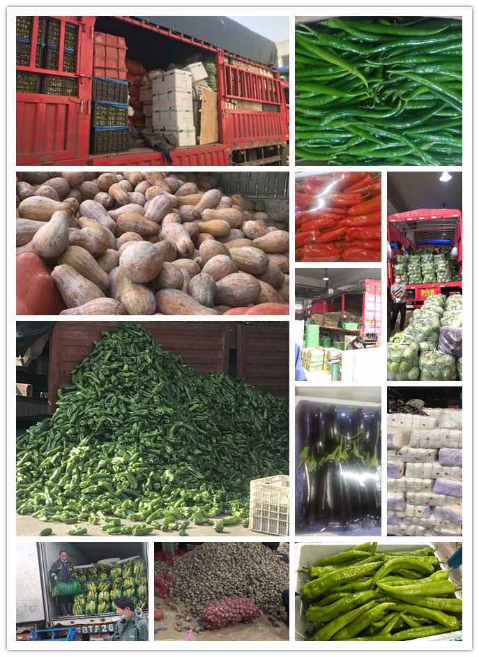 赏金船主·PG(中国游)官方网站