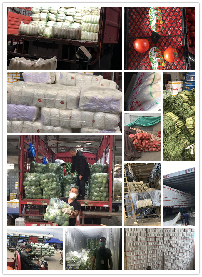 赏金船主·PG(中国游)官方网站