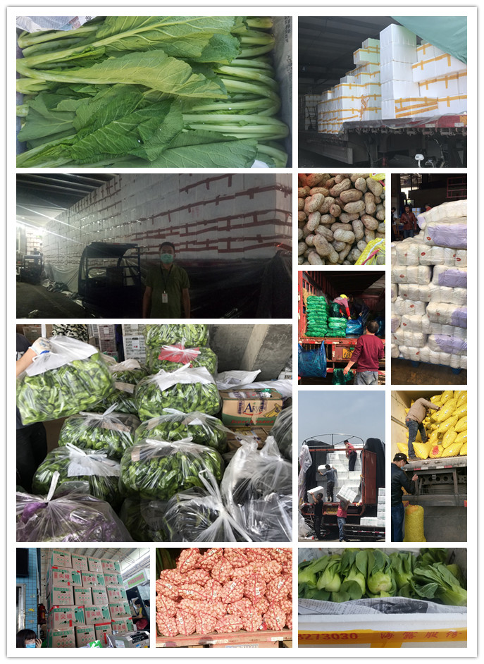 赏金船主·PG(中国游)官方网站