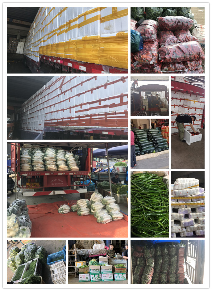 赏金船主·PG(中国游)官方网站