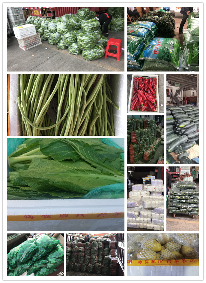 赏金船主·PG(中国游)官方网站