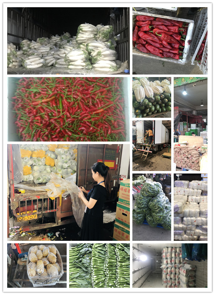 赏金船主·PG(中国游)官方网站