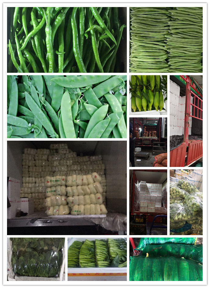 赏金船主·PG(中国游)官方网站