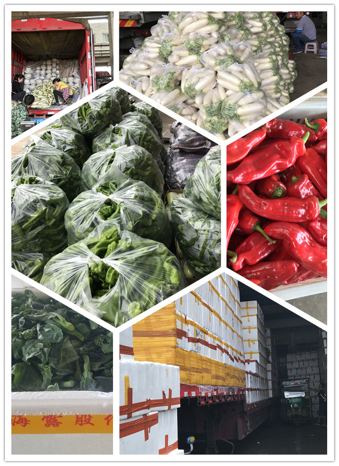 赏金船主·PG(中国游)官方网站