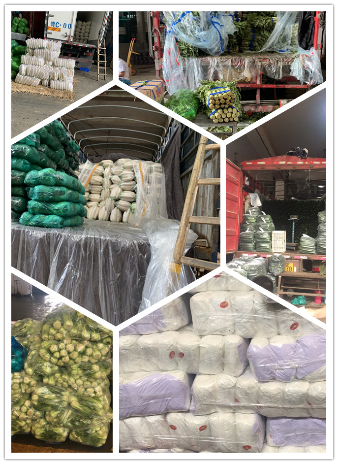 赏金船主·PG(中国游)官方网站