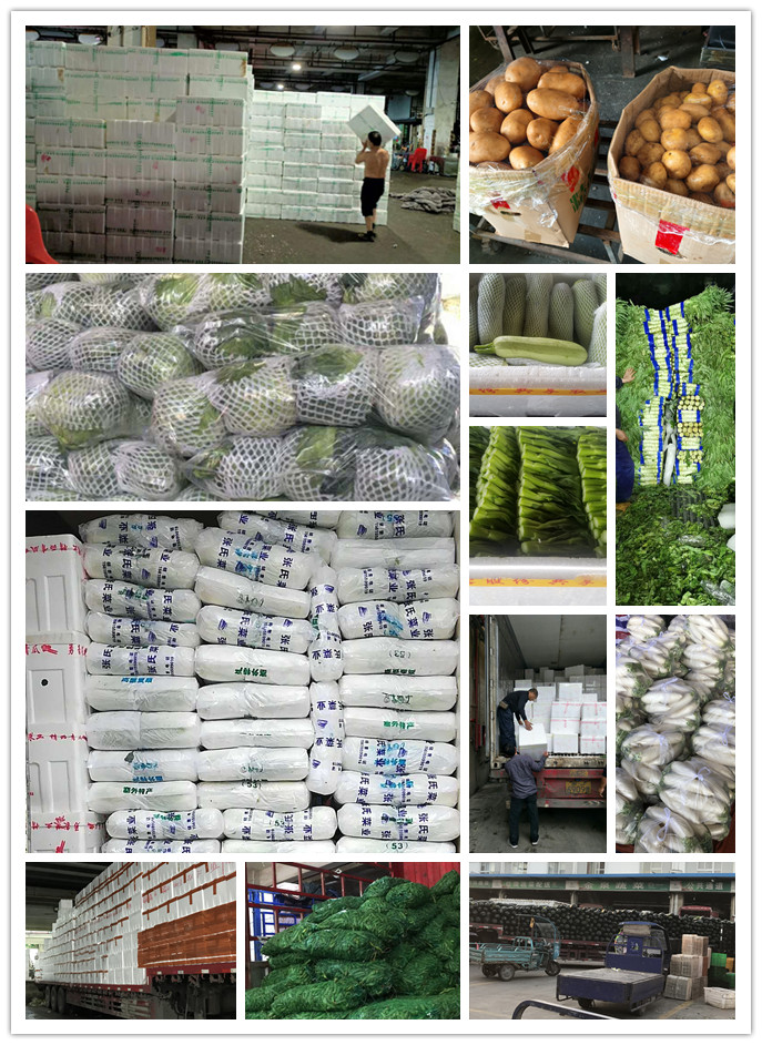 赏金船主·PG(中国游)官方网站