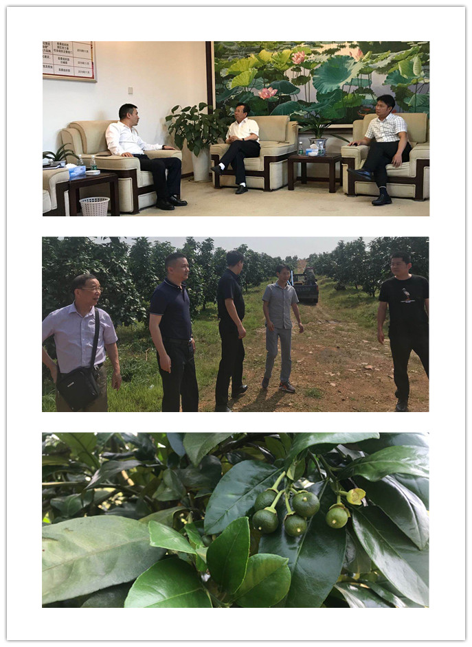 赏金船主·PG(中国游)官方网站