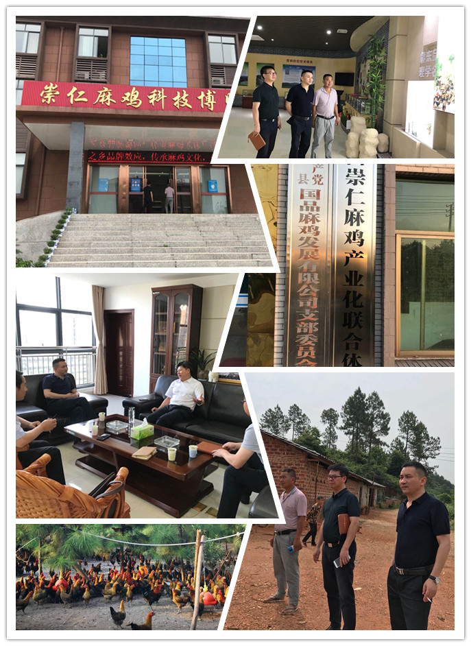 赏金船主·PG(中国游)官方网站