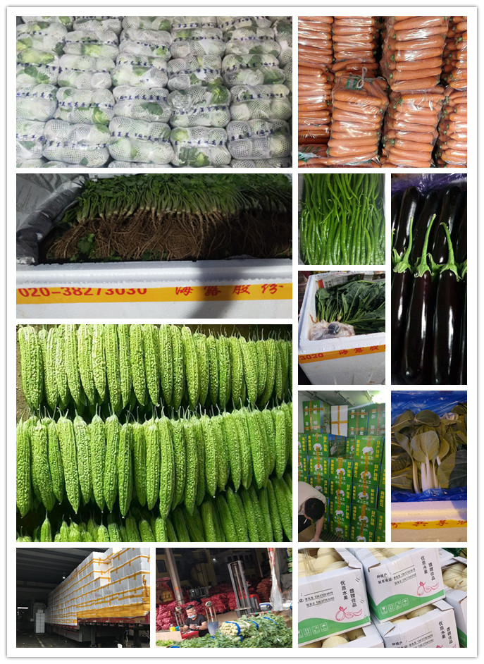 赏金船主·PG(中国游)官方网站