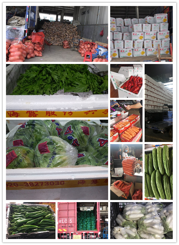 赏金船主·PG(中国游)官方网站