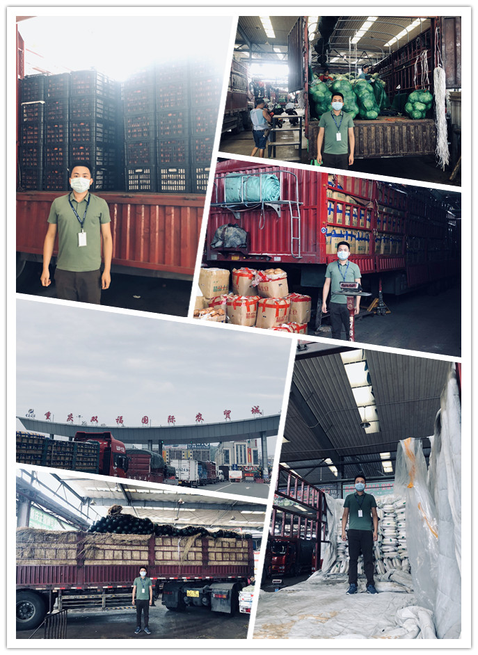 赏金船主·PG(中国游)官方网站