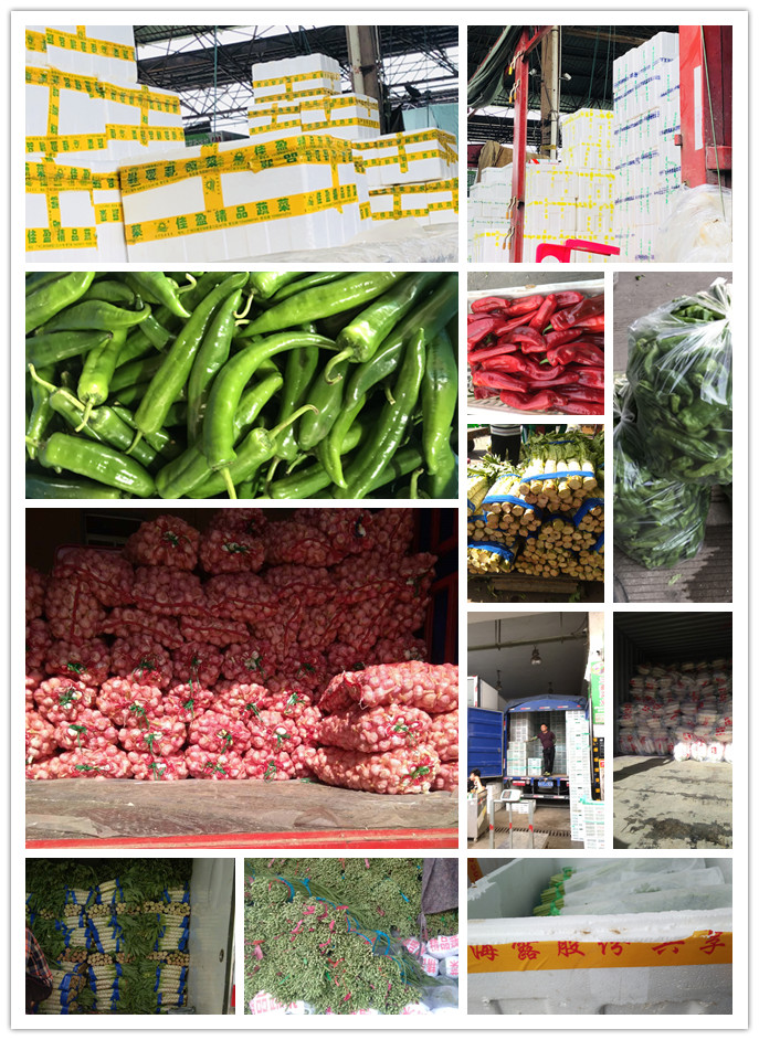 赏金船主·PG(中国游)官方网站